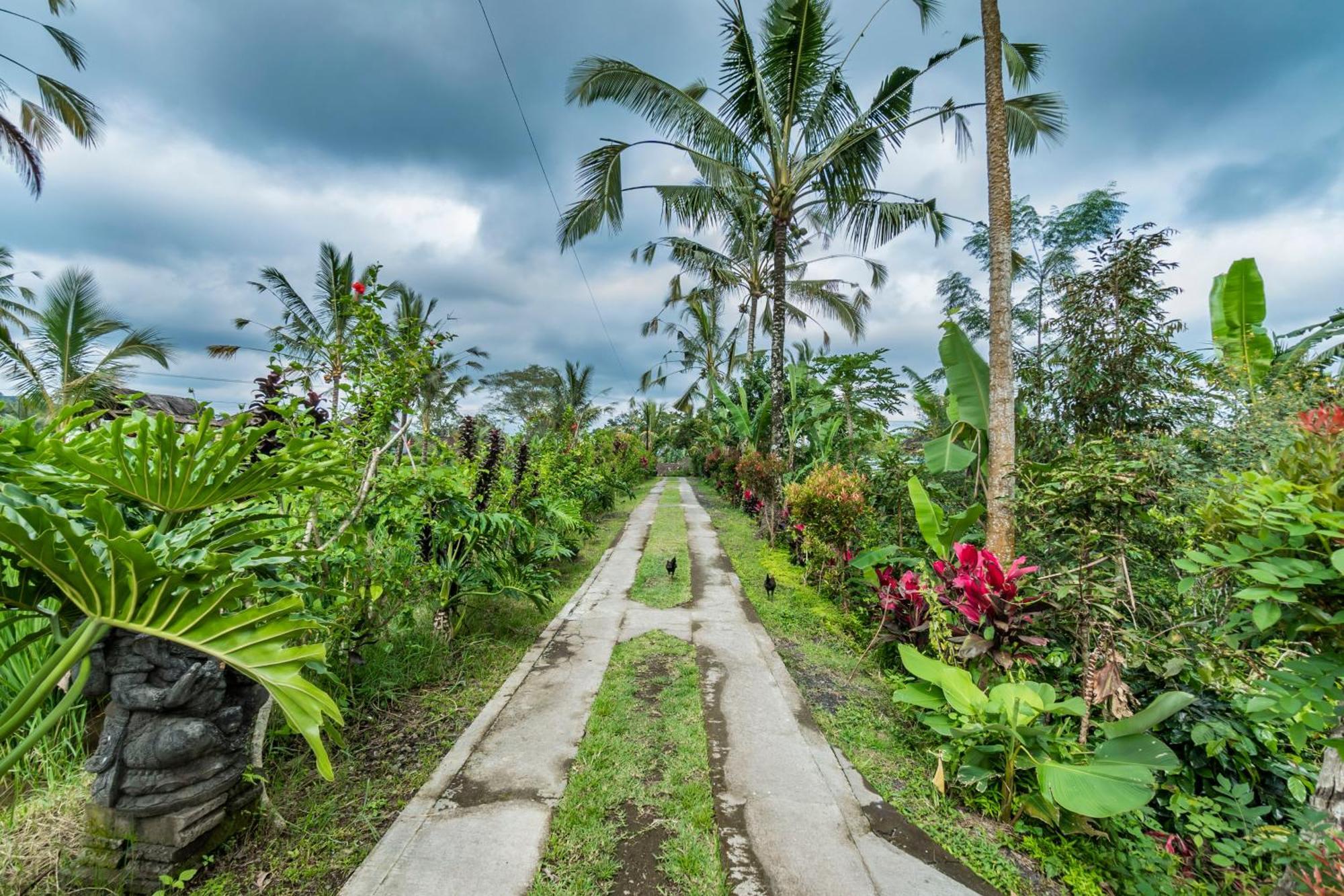 Ritual Ubud Payangan Exterior foto
